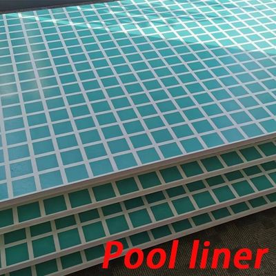 Наслаждайтесь семейным спортом с легким бассейном и толщиной акрилового окна 100 мм